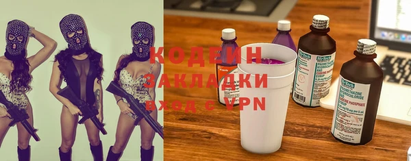 мдпв Заводоуковск