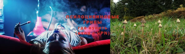 мдпв Заводоуковск
