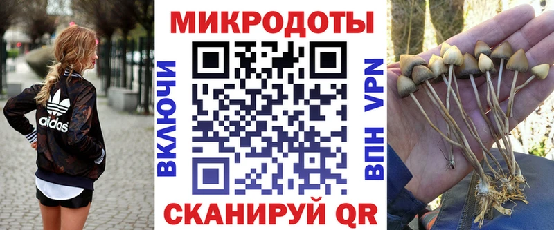Купить  Верхнеуральск  Галлюциногенные грибы мицелий 